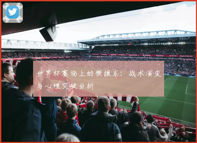 世界杯赛场上的樊振东:战术演变与心理突破分析
