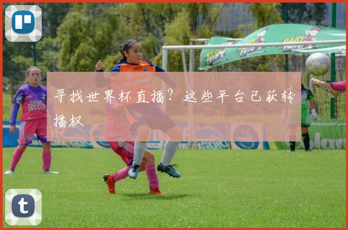 寻找世界杯直播？这些平台已获转播权