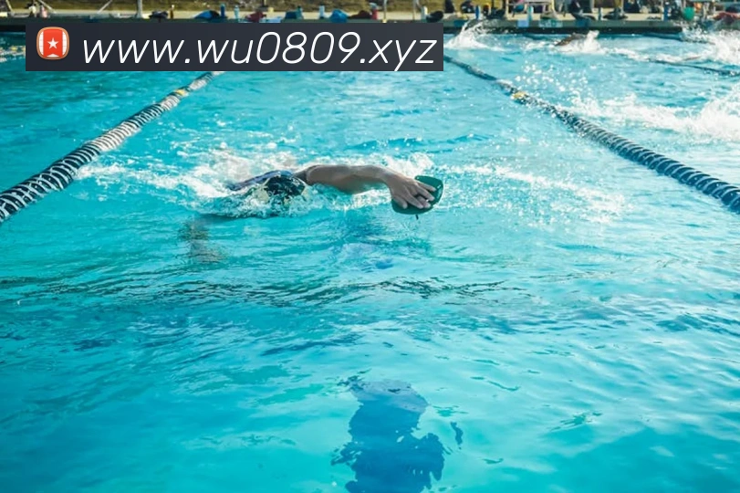 k1体育app官网登录平台生态图